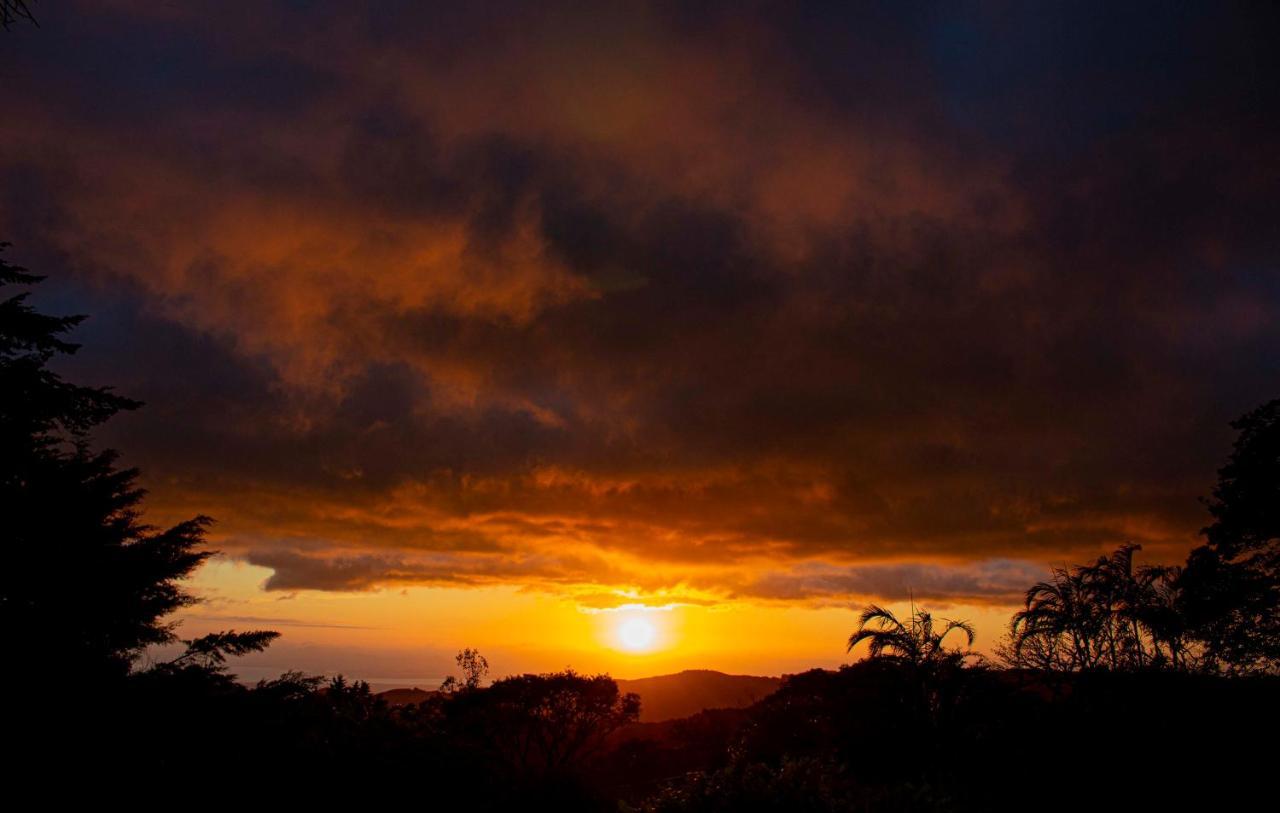 Sunset Monteverde Eksteriør billede