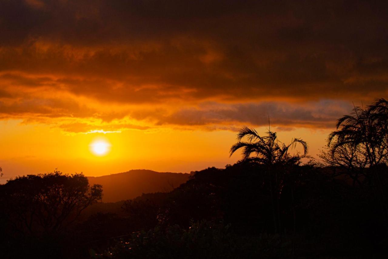 Sunset Monteverde Eksteriør billede